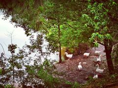 -黄陂区野村谷景区