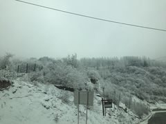 -太子岭滑雪场