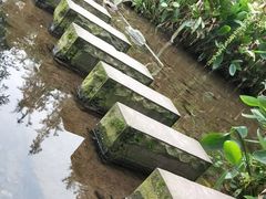 -重庆彩云湖湿地公园
