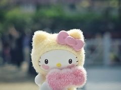 -嘉定紫藤园