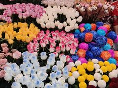 -越秀西湖花市(广州城市广场花卉店)