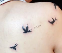 -八爪刺青tattoo