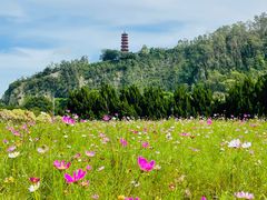 -南沙天后宫景区
