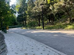 -白水寺森林公园