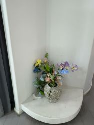 -星光兔·西扶海棠·写真馆(景德镇店)