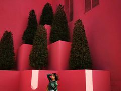 -漳州滨海火山岛自然生态风景区