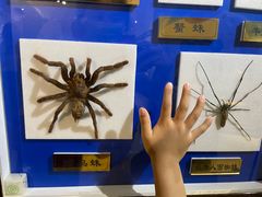 -上海昆虫博物馆