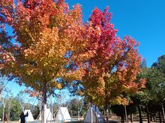 -北京西山国家森林公园