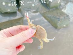 -南汇新城海滩