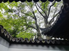 -秋霞圃