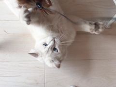 -青春加萌照相馆