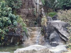 -金鸡山公园