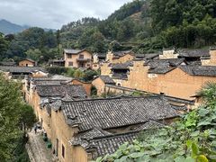 -杨家堂村
