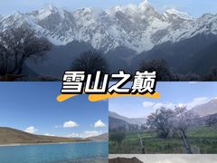 -羊卓雍措