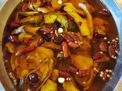 -鑫巴蜀小镇 · 水煮鱼专研店(玉桥店)