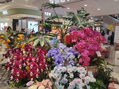 -巴黎春天(浦建店)