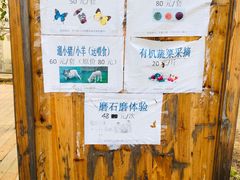 -前小桔亲子创意农场·草莓采摘·露营烧烤