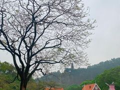 -南沙蒲洲花园