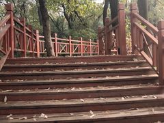 -紫金山天文台