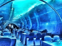 -海棠湾洲际-涛·海底餐厅·美人鱼·自助餐·海底隧道