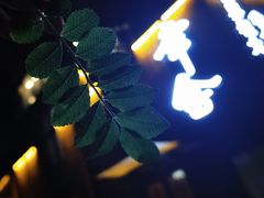 -保定东湖公园(莲池区)