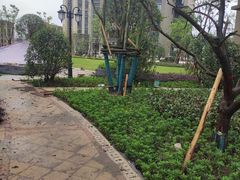 -小八仙·八方(移民广场店)