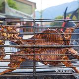 成都旅游|绵阳九皇山-难忘之旅