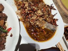 -杨氏青龙虾·吃蟹季(金盛路总店)
