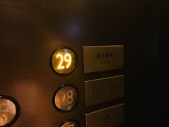 女士鸡尾酒-顶层酒吧ROOF(上海艾迪逊酒店)