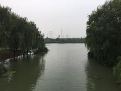 -九里河湿地公园