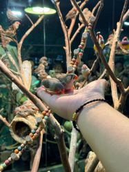 -Zoolung Zoolung动物主题公园(海信广场店)