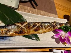 -酒井酱子·深夜食堂(东城汇店)