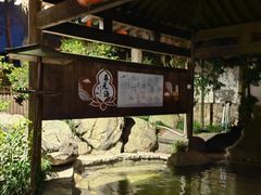 -唐风温泉