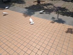 -泉城广场