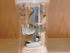-左悦·艾灸调理·推拿按摩·精油SPA(卓悦汇店)