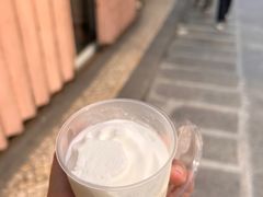 -洪馨椰子