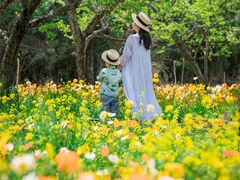 -名花谷生态庄园