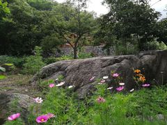 -大岭沟猕猴桃谷风景区
