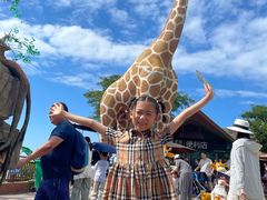 -西霞口神雕山野生动物世界