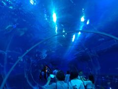 -成都浩海立方海洋公园