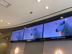 -蝎王府羊蝎子(西直门店)