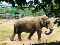 -西安秦岭野生动物园