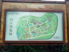 -田园东方蜜桃村的田野营地