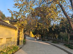 -宝通禅寺