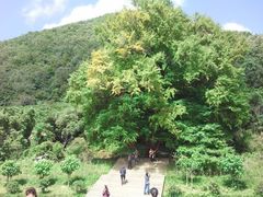 -广元唐家河嘉怡客栈