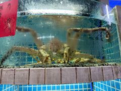 -牛天下·牛肉·海鲜·打边炉·融合菜