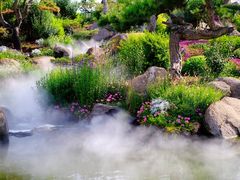 -罗红摄影艺术馆