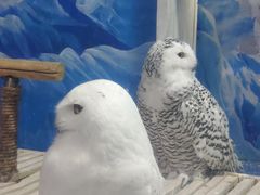 -成都浩海立方海洋公园