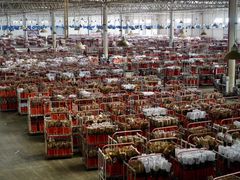 -昆明国际花卉拍卖交易中心