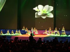 -南京奥林匹克体育中心-体育馆